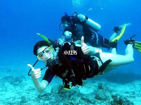 静谧飞行